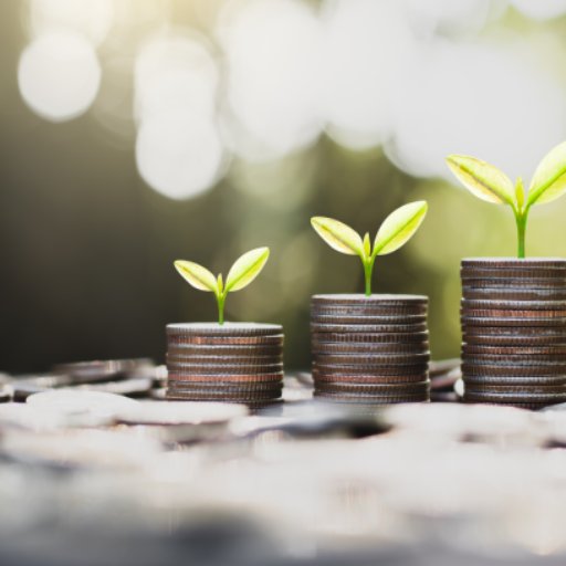 Investing in Growth and Potential